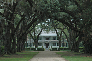 Rosedown Plantation