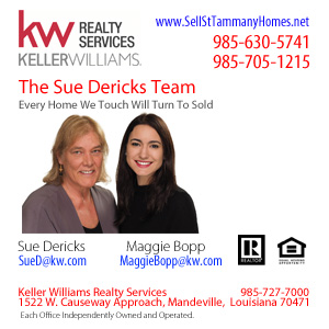 The Sue Dericks Team